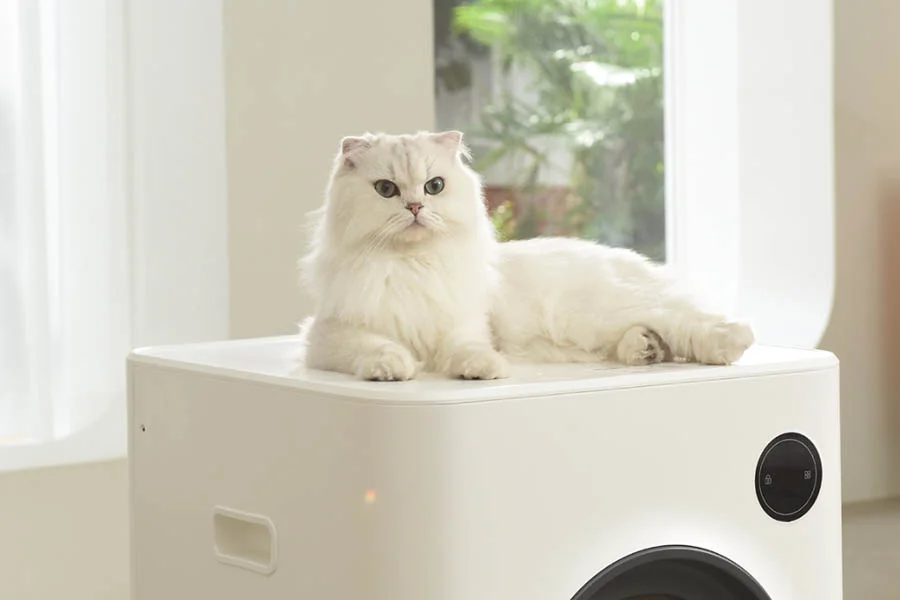 litter boxes for multiple cats