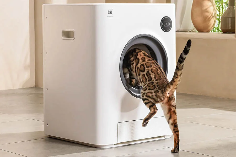 automatic cat litter box reviews